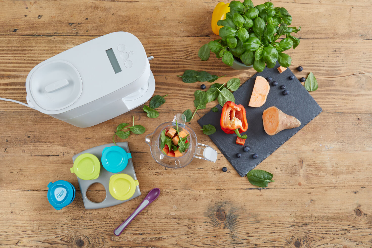 Explora Baby Food Steamer Blender. image number 2