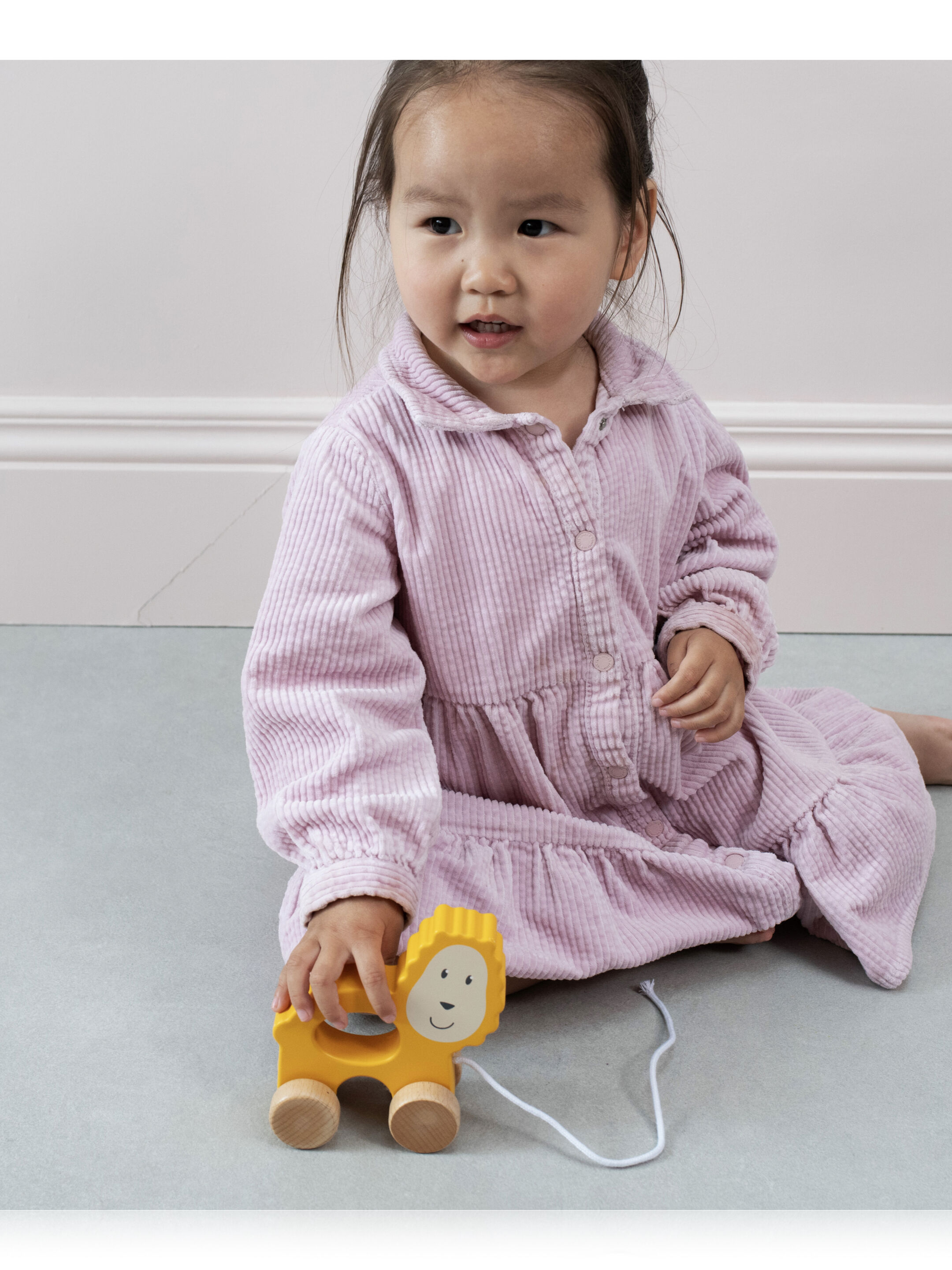 Matchstick Monkey Playtime Pull Along Animal - Ludo Lion