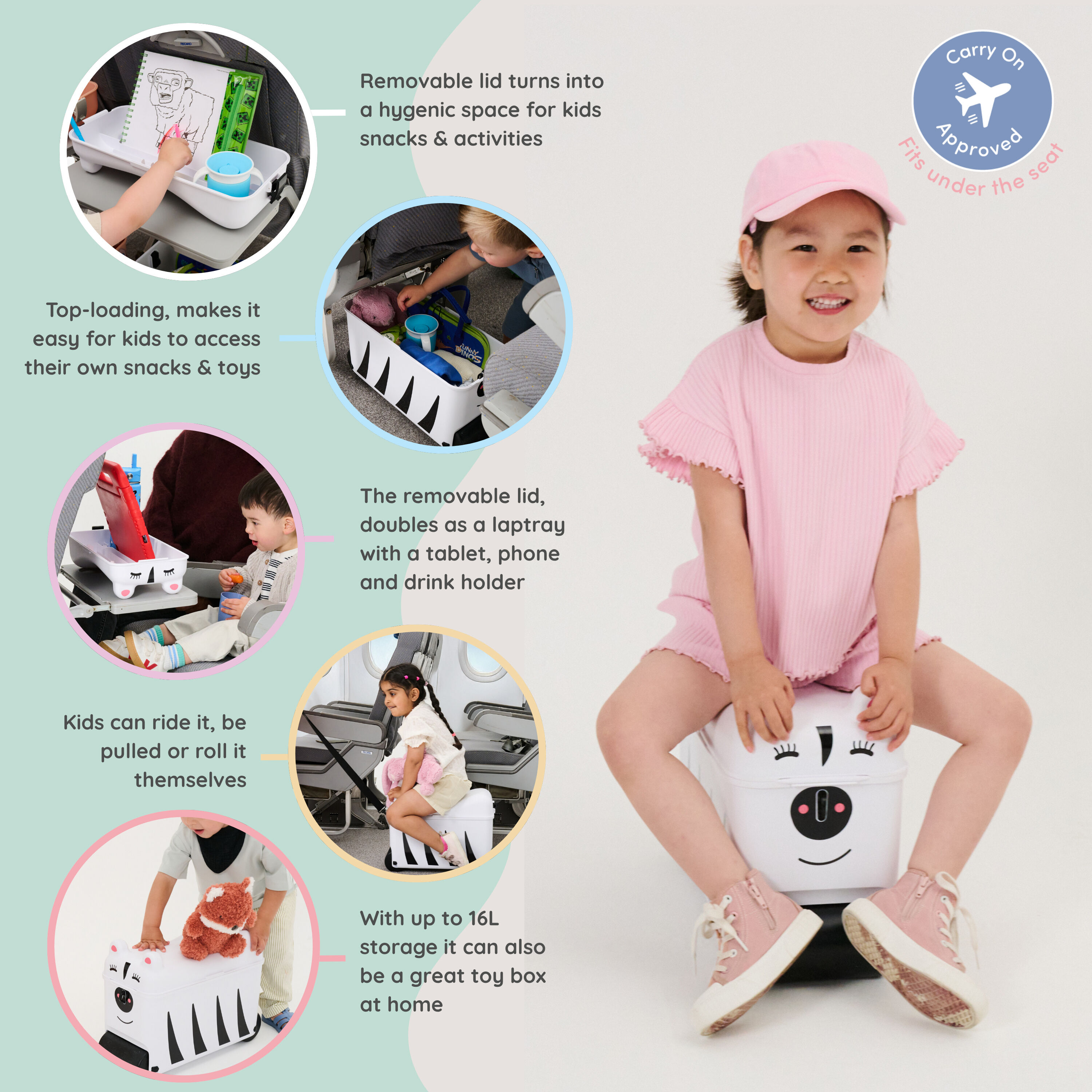 Little Rolla Zebra image number 2