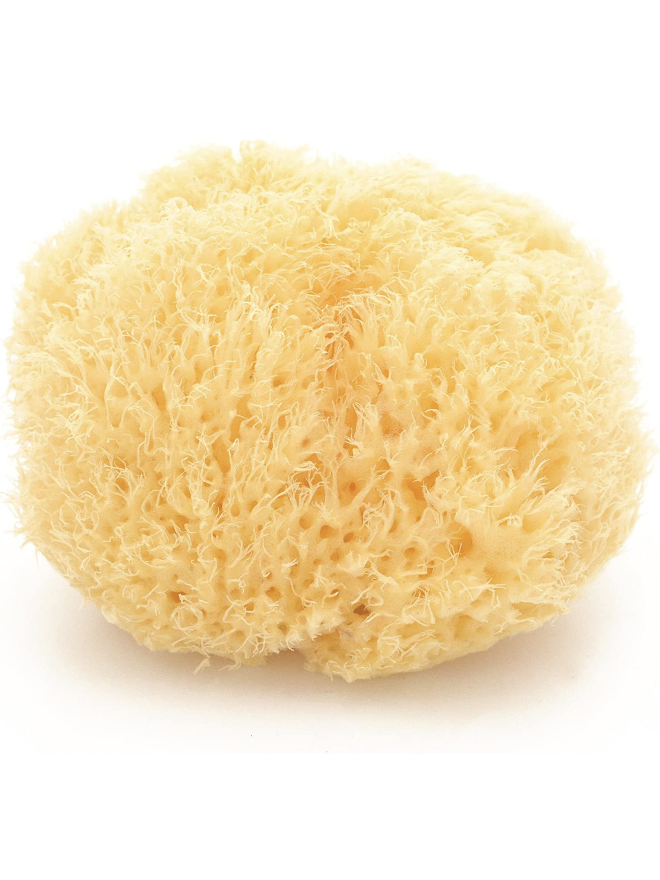Babu Natural Honeycomb Bath Sponge - Small No.10 image number 1