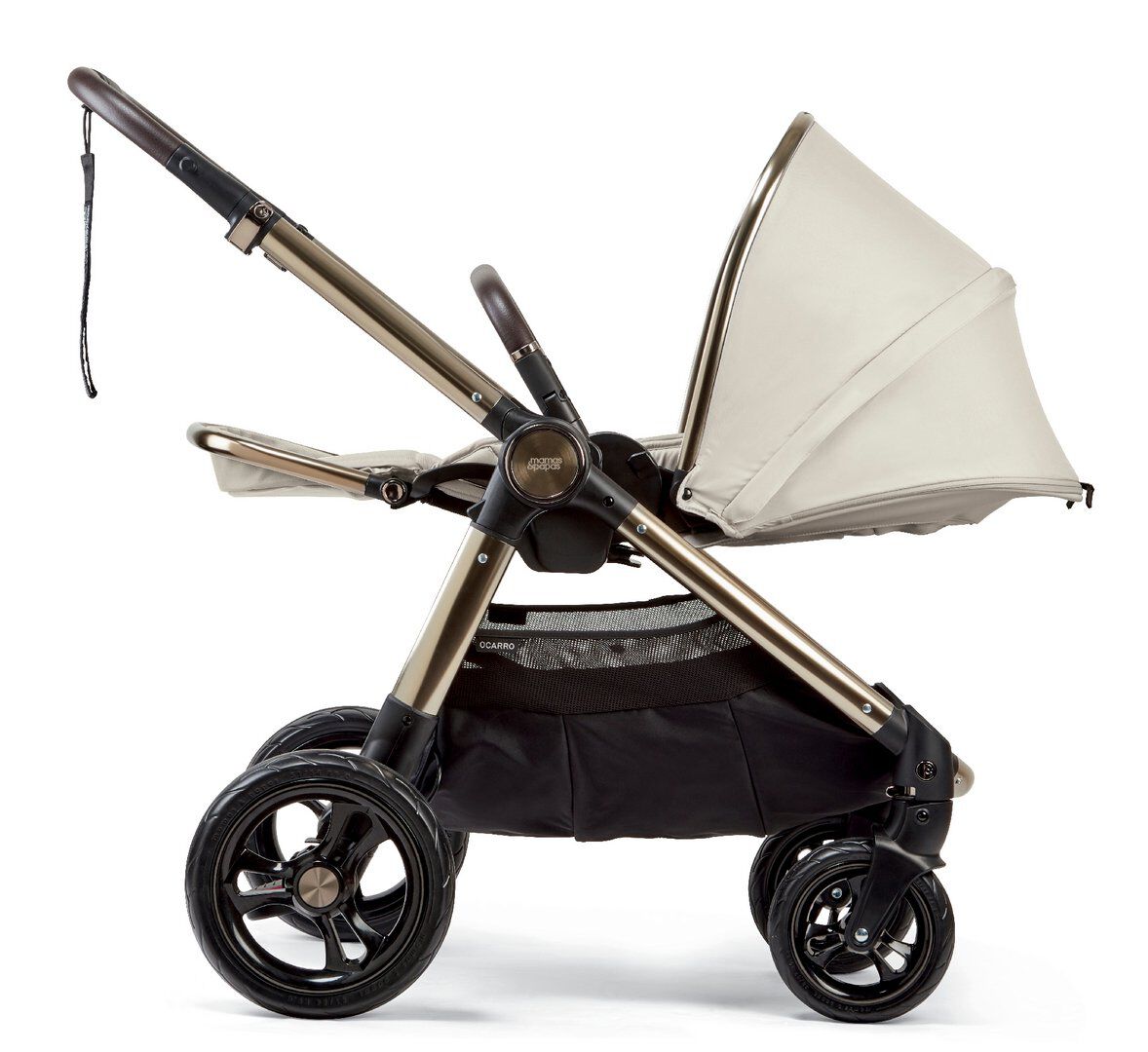 OCARRO - TREASURED (AT) image number 6