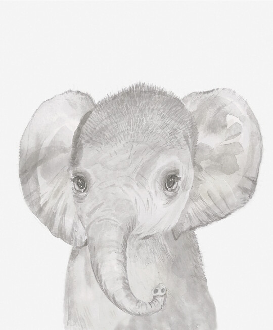 Hanging Wall Art - Elephant Print image number 2