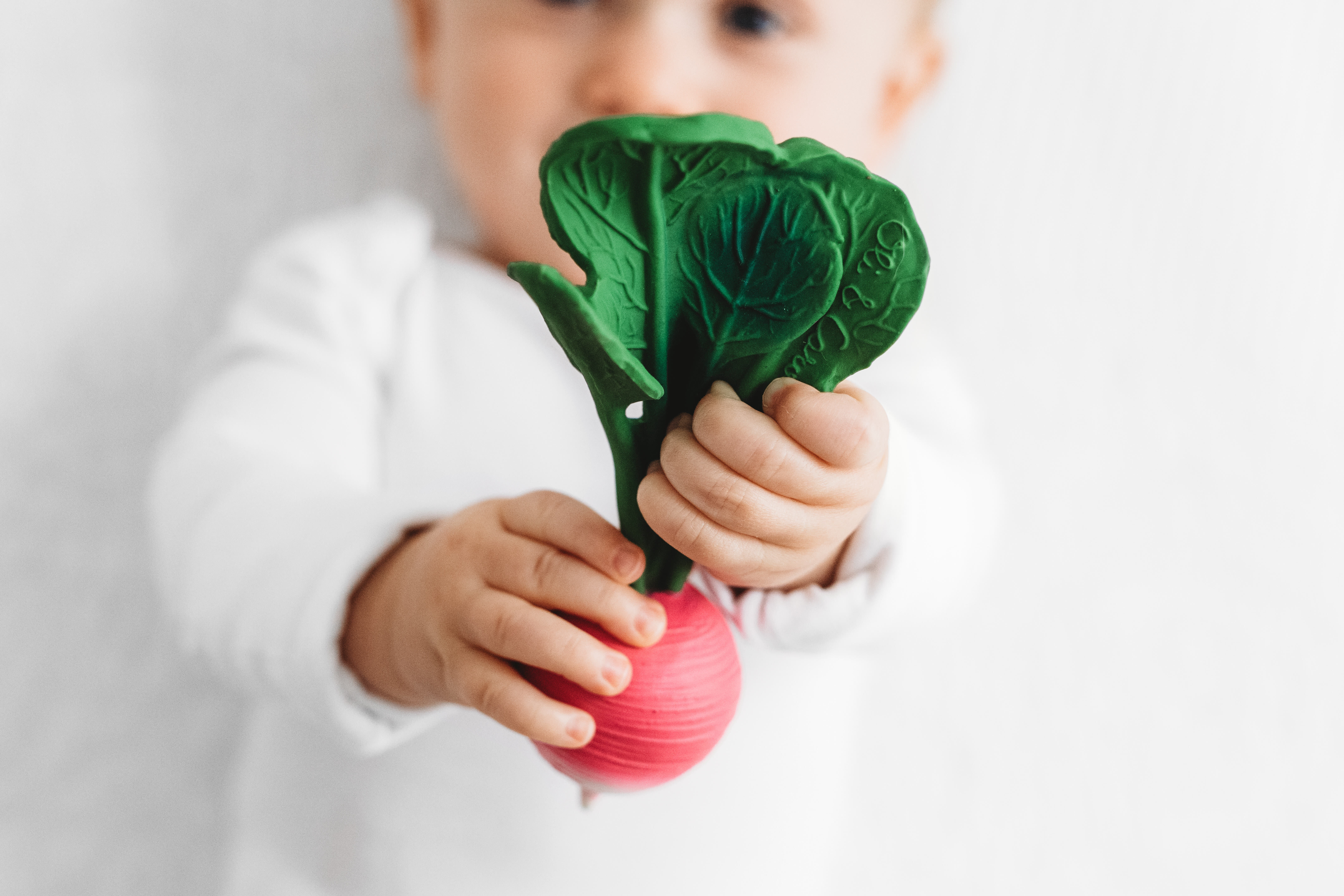 Oli & Carol Ramona The Radish image number 5