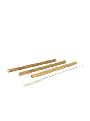 Citron Organic Bamboo Set of 3 Straws + Brush - Natural