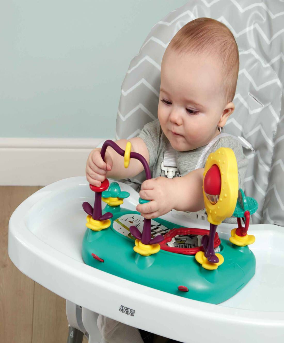 Mamas and discount papas loop highchair