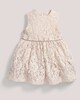 Occasion Lace Sparkle Dress image number 1