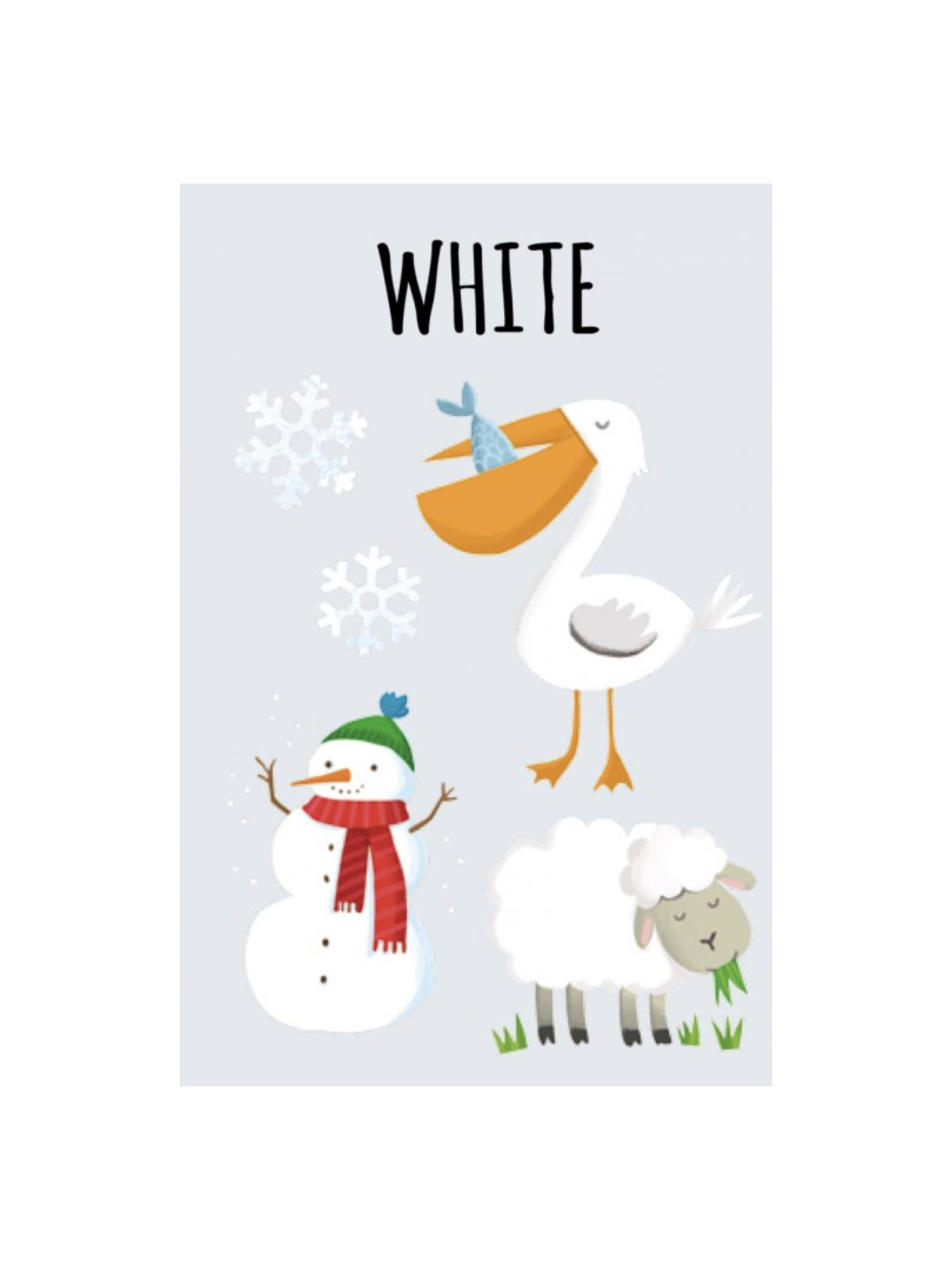 Sassi My First Library - Colours image number 4