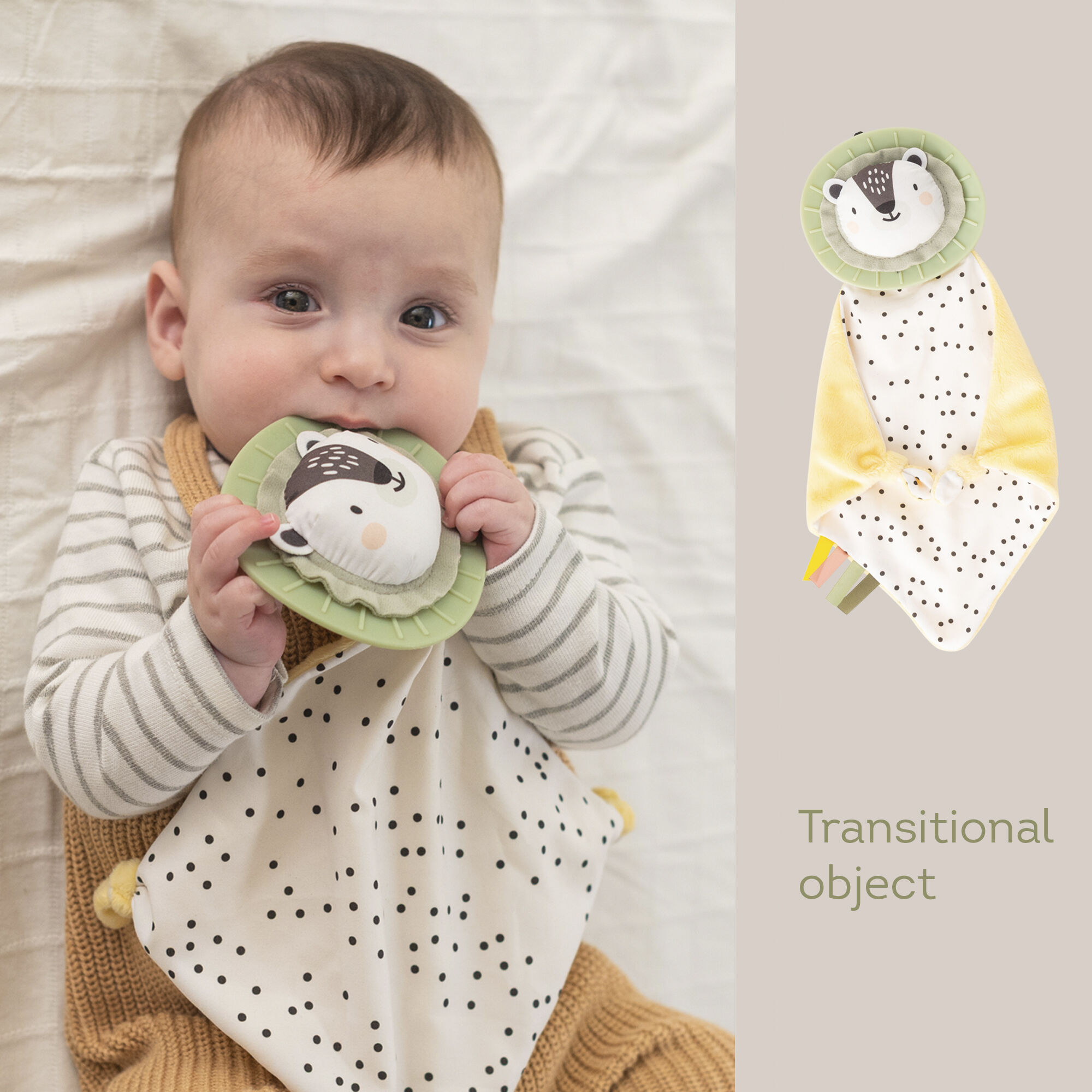 Taf Toys Newborn Develop &amp; Play Kit image number 4