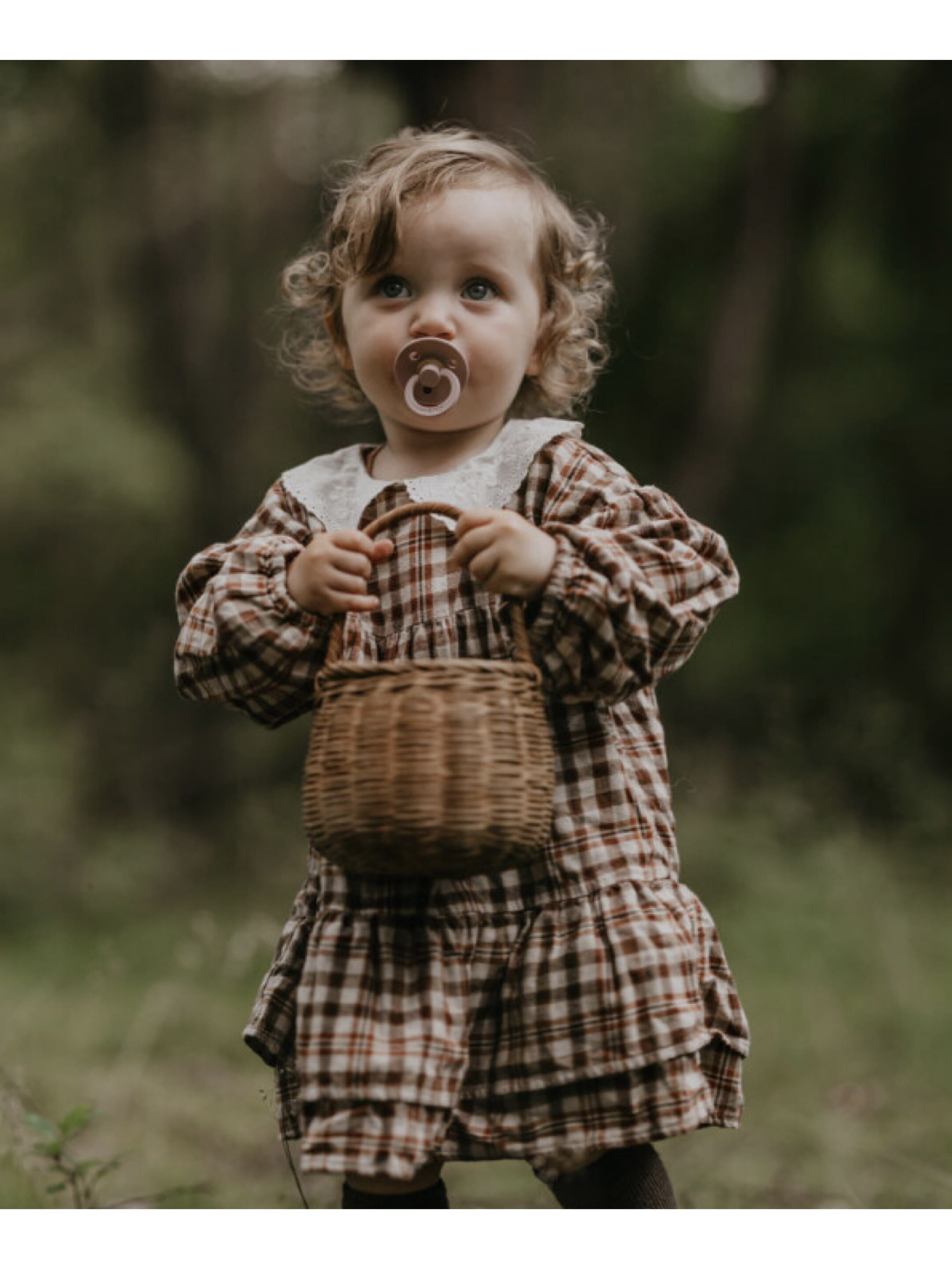 Bibs Colour 2 Pack S1 - Dark Oak/Blush (0+ months) image number 4
