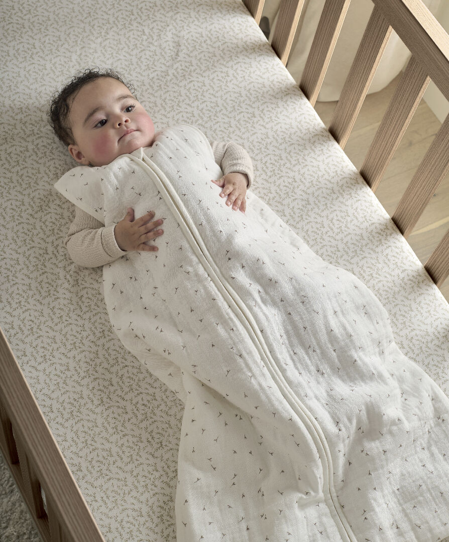 Seed organic bassinet online