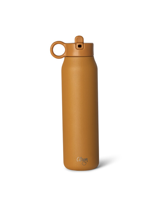 Citron Stainless Steel Water Bottle 350ml Caramel image number 1