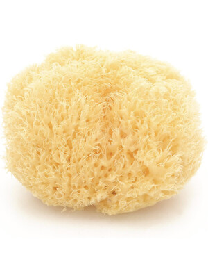 Babu Natural Honeycomb Bath Sponge - Small No.10