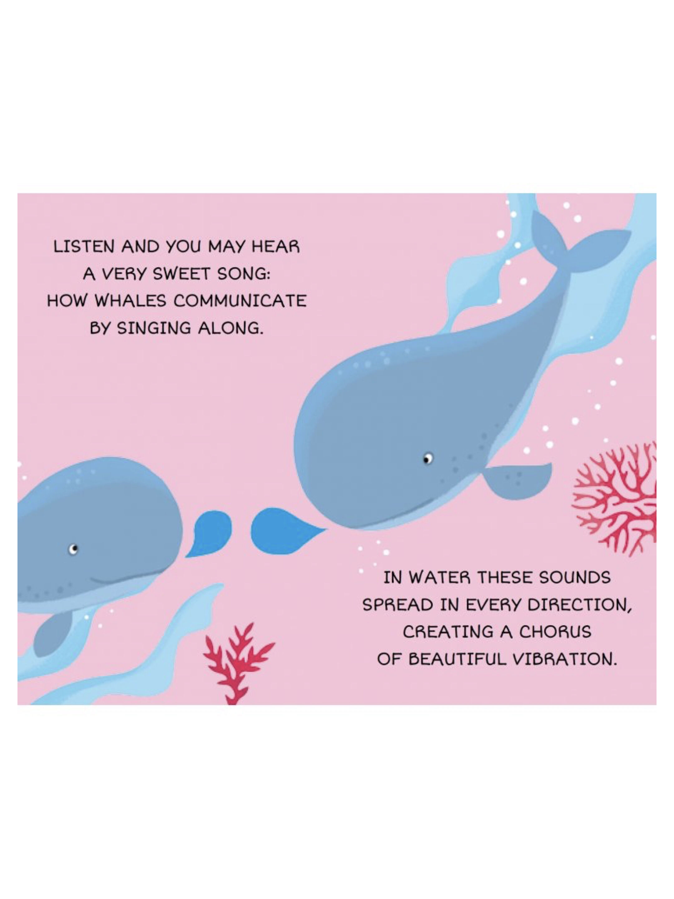 Sassi My First Library - The Sea image number 5