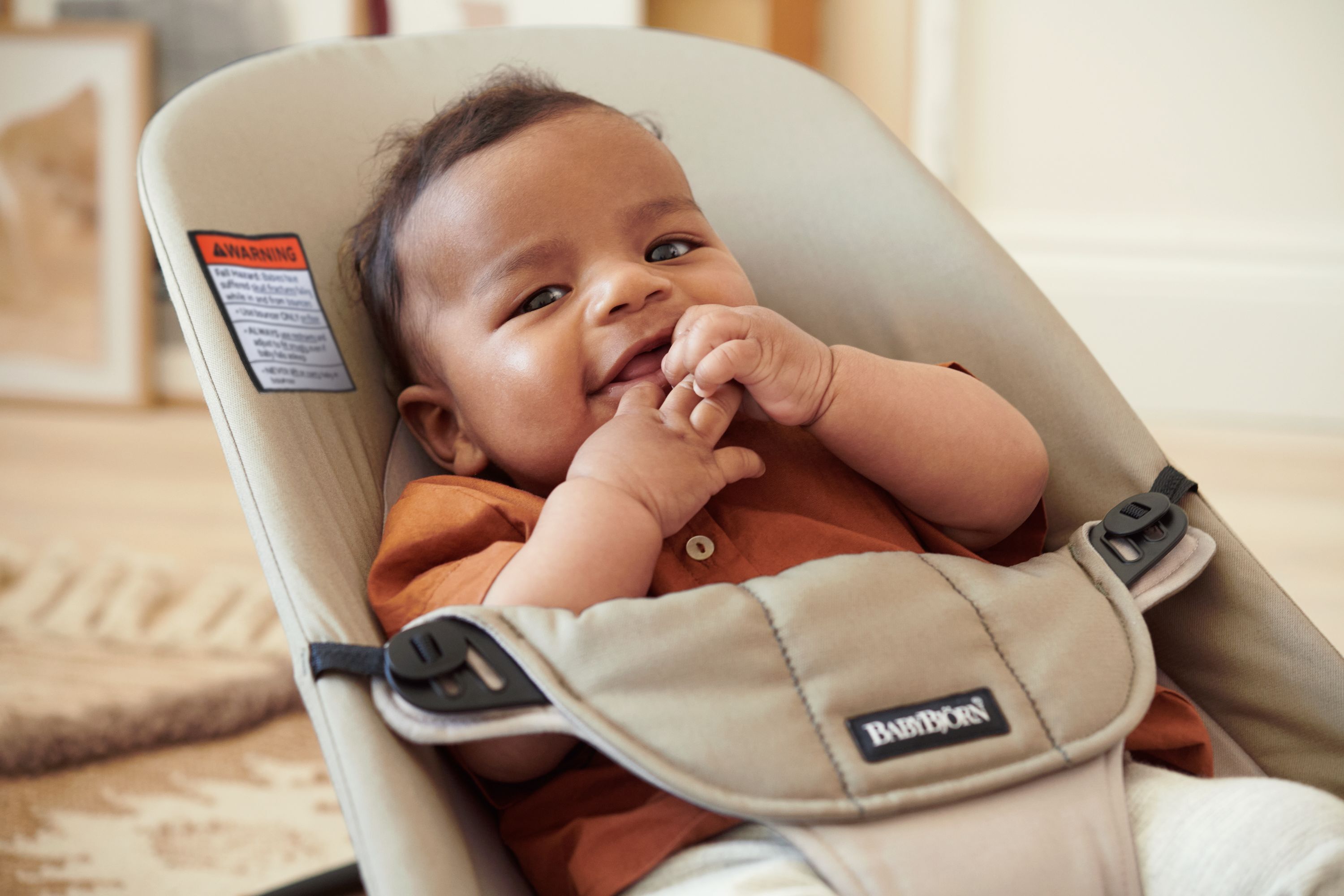 Babybjörn bouncer shop balance soft