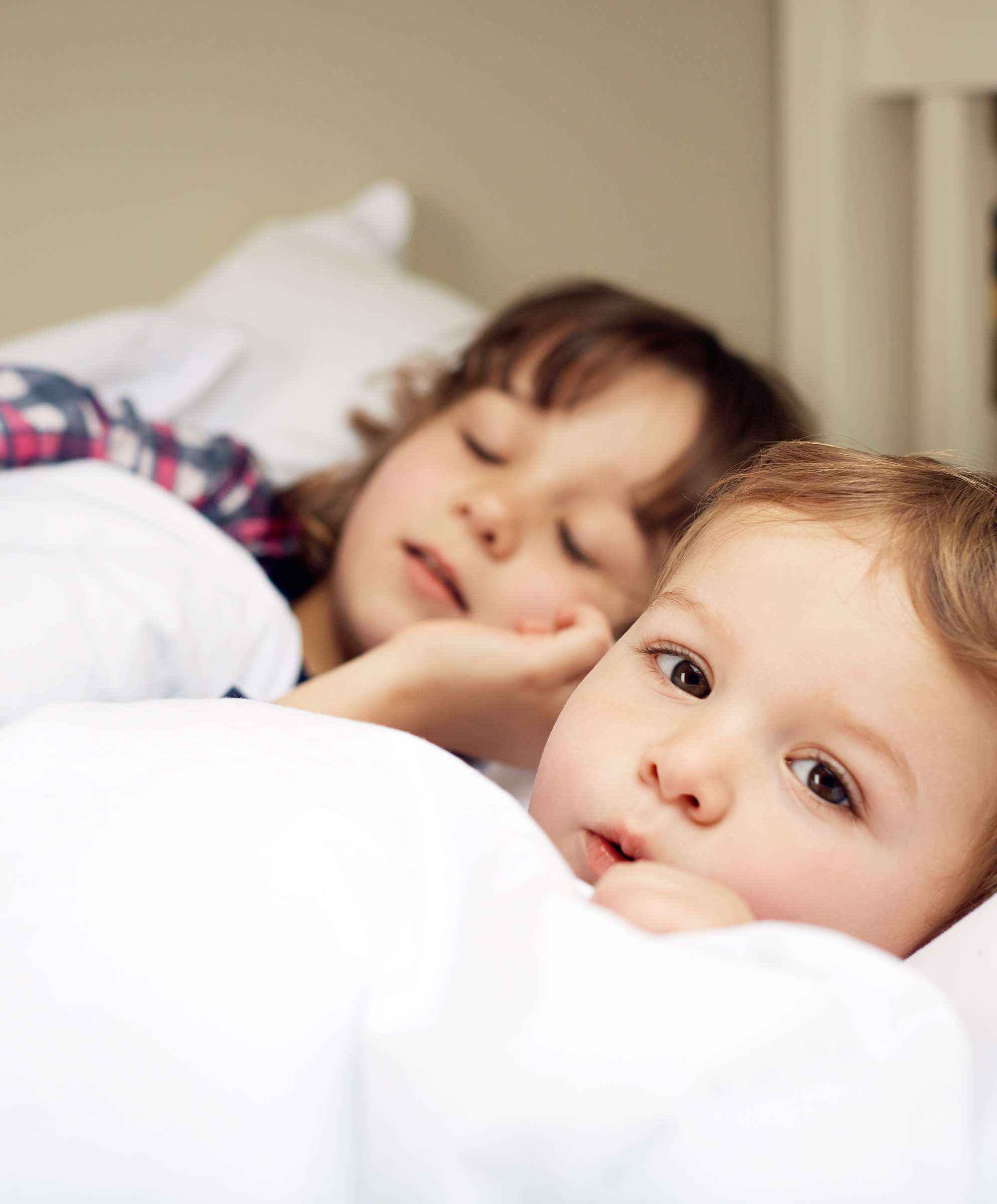 Anti Allergy Cotbed Duvet & Pillow Set image number 7