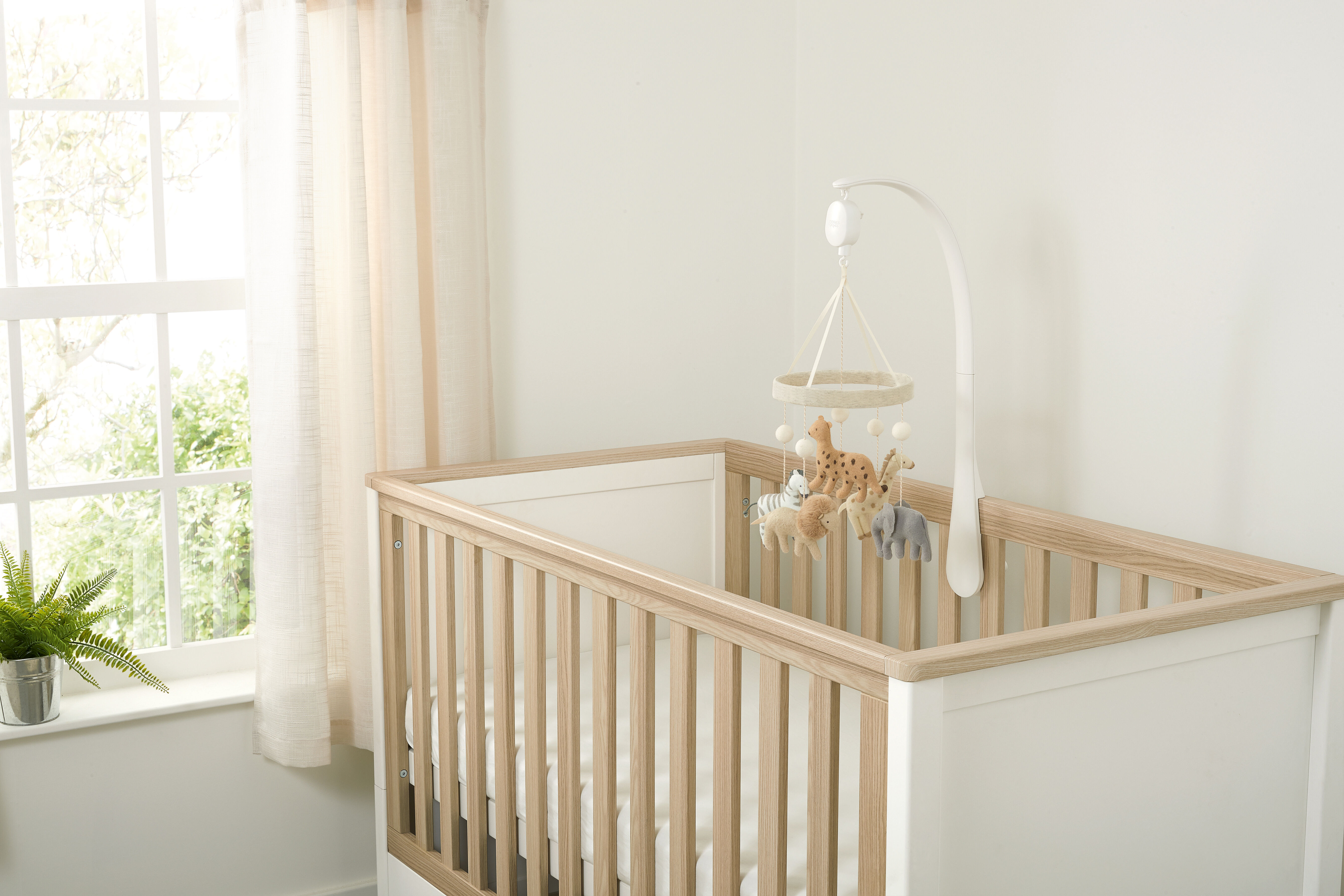 Cot Mobile - Born To Be Wild image number 4
